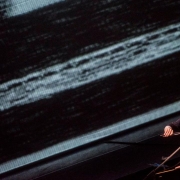 Laurie Anderson, nuotr. D. Matvejevo