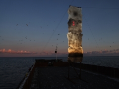 <i>Station Papillon</i> / Nidos forumas