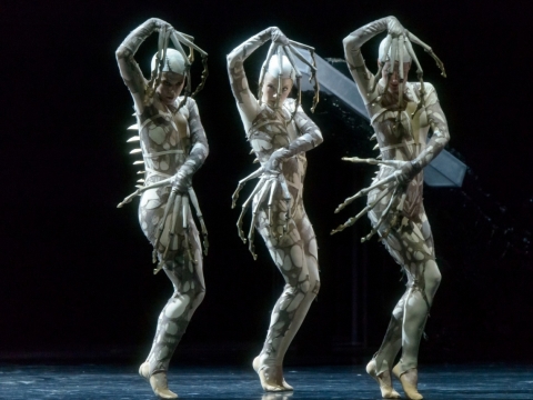 Scena iš baleto „Pradžioje nebuvo nieko“ (choreografė Živilė Baikštytė). M. Aleksos nuotr.