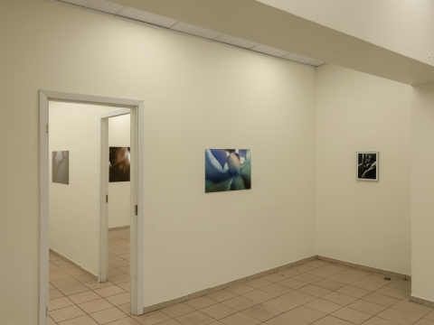 Snieguolė Michelkevičiūtė, Gerda Paliušytė, „Lepus“, parodos fragmentas. 2025 m. L. Mykolaičio nuotr.