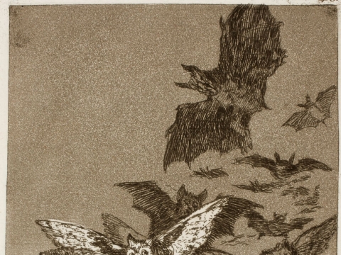 Francisco Goya „Kapričai“, Nr. 43, Prado muziejus Madride