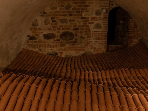 Ūlos Šukytės parodos „1539 vienetai“ fragmentas
