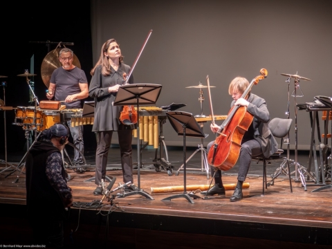 Kvarteto „The New Baltic Sound“ koncerto akimirka. B. Mayr nuotr. 