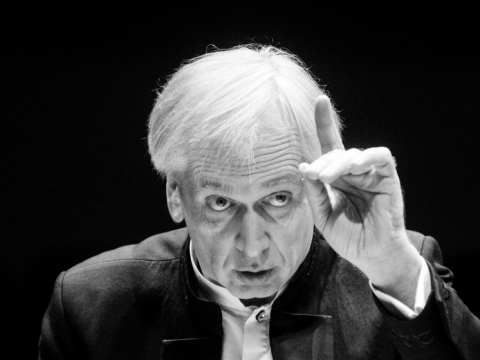 Gintaras Rinkevičius. D.Matvejevo nuotr.
