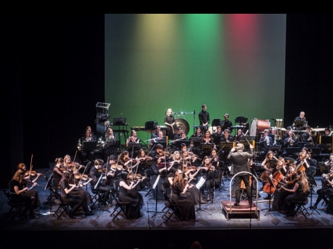 Baltijos šalių akademijų orkestro koncertas Nacionaliniame dramos teatre. D. Matvejevo nuotr.