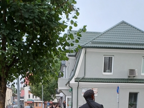 L. Lopaitės nuotr.