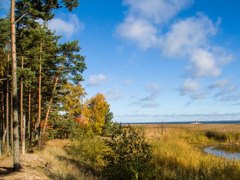 Kuršių nerija, nuotr. M. Medišausko, šaltinis: flickr.com