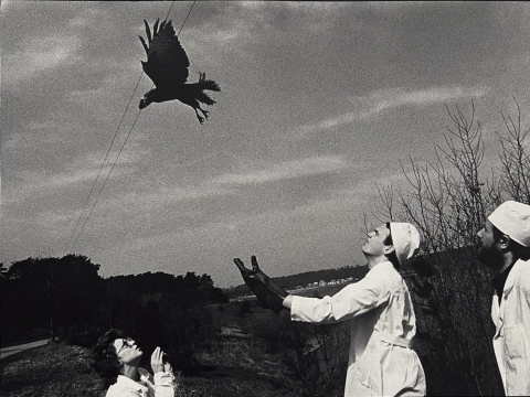 Aleksandras Macijauskas, „Kauno veterinarijos klinikose“. 1980 m.