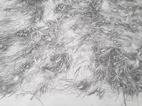 Aistė Kisarauskaitė, „Pieva“ fragmentas