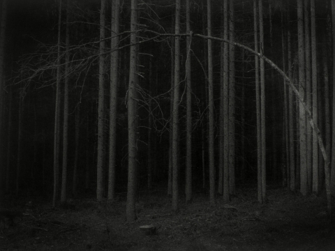 Arnas Špaka, „Bending“