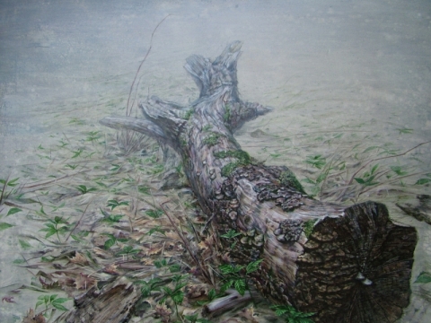 Paulius Juškas. Be žievės.
