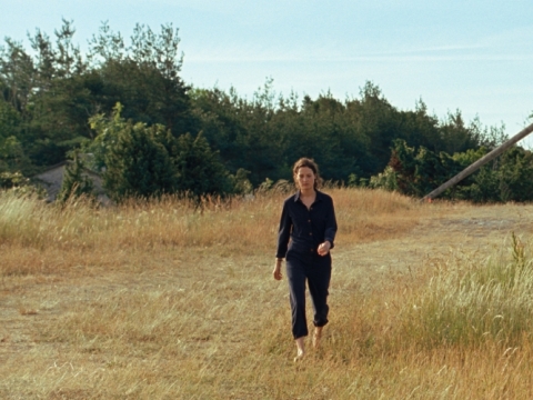 Kadras iš filmo „Bergmano sala“ 