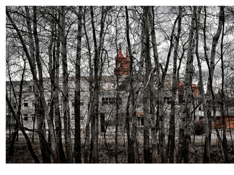 Marijos Šileikaitės-Čičirkienės fotografijų parodos „Įsivaizduojamas miestas“ fragmentas