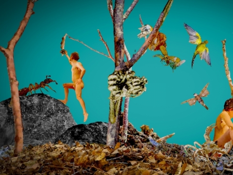 „Dancing with Dead Animals“