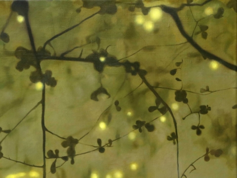 Ewelina Bluj-Kiliszek, „Shinrin-Yoku“
