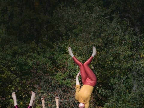 „Fauna Circus“ archyvo nuotr.