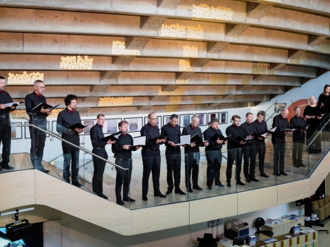 „Focus Lituanie“. Vilniaus universiteto mišrus choras „Pro Musica“. Nadege Le Lezec nuotr.
