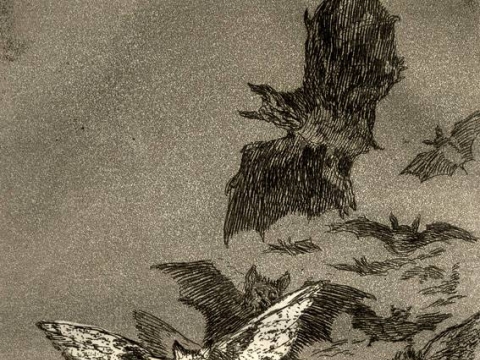 Francisco Goya, „Proto miegas gimdo pabaisas“. Iš „Kapričų“ ciklo Nr. 43. 1806/07 m. Vilniaus paveikslų galerijos parodos „Fransiskas Goja. Kapričai“ virtuali galerija