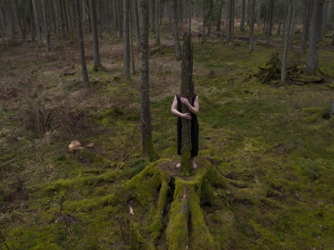 Julija Pociūtė, „Glostančios rankos“ (video). A. Liutkaus nuotr.