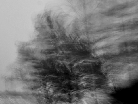 Juozo Budraičio fotografijų parodos „Šnabždesiai“ fragmentas