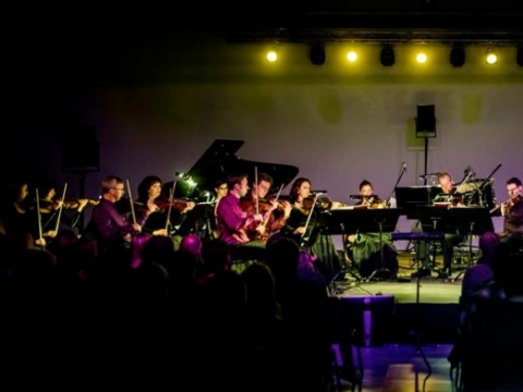 Klaipėdos kamerinis orkestras. D. Matvejevo nuotr.