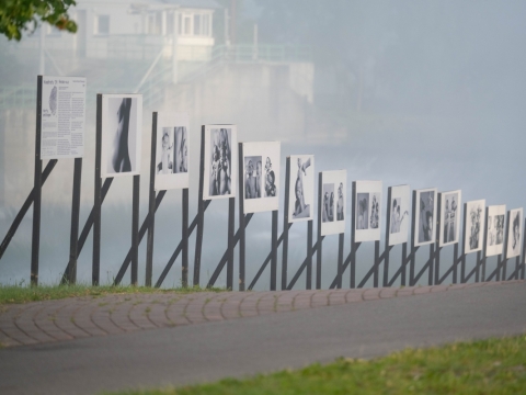 Festivalio „Kvadratu“ lauko paroda. Organizatorių nuotr.
