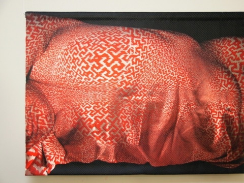 Laima Oržekauskienė, iš ciklo „Draperija“. 2005–2013 m. 