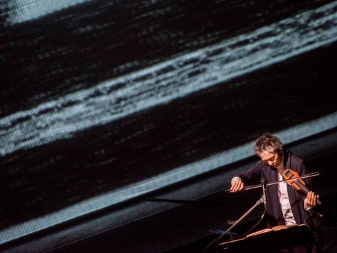 Laurie Anderson, nuotr. D. Matvejevo