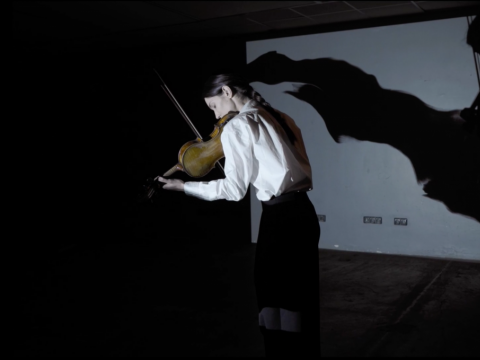 Lora Kmieliauskaitė performanse „This Order Goes Wrong“. Rengėjų nuotr.