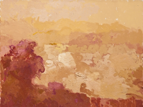 Martynas Jankus, „Kauno marios ties Pažaisliu“, 2014