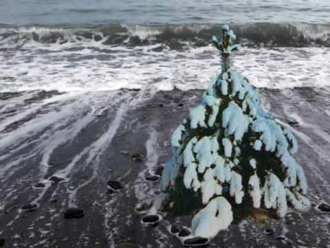 Aurelija Maknytė, „Eglutė“, iš „Islandijos triptiko“. 2016 m.