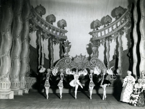 „Miegančioji gražuolė“ 1934 m., nuotrauka iš LTMKM fondo