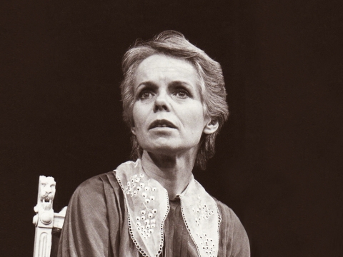 Nijolė Gelžinytė spektaklyje „Haroldas ir Modė“. Valstybinio jaunimo teatro nuotr.