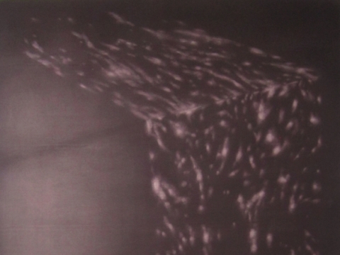 Rosanda Sorakaitė, „Nakties šviesa", 2016, akrilas, aliejus, drobė, 200x150 cm