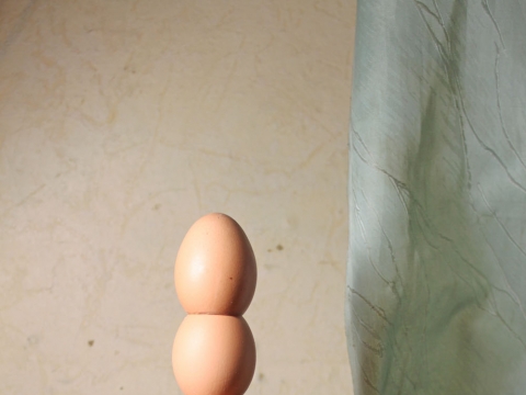 Nerijus Erminas. Kolona.