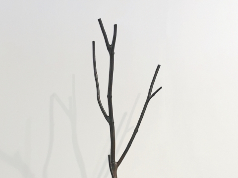 Nerijus Erminas, Ūglis, 2017 m.