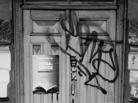 Monikos Dirsytės performansas „Veidaknygė“. 2016 m. T. Ivanausko nuotr.