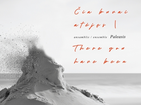 „Paleasis“ CD viršelis. Dovydo Čiuplio dizainas