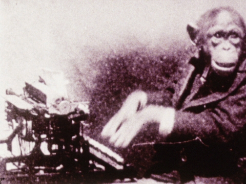 „Pėdsakai“, rež. Bill Morrison