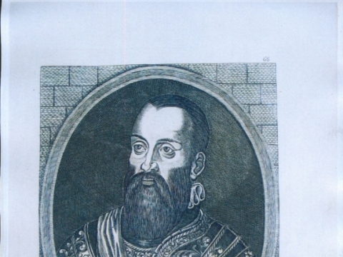 Radvila Juodasis