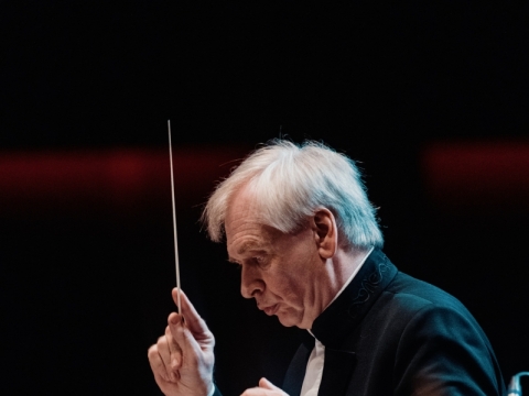 Gintaras Rinkevičius. Organzatorių nuotr.