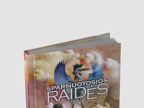 ,,Sparnuotosios raidės. Leonardo da Vinci pasakos reginčiųjų ir Brailio raštu“