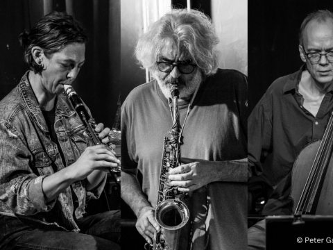 Tim Berne trio. P. Gannushkino nuotr.