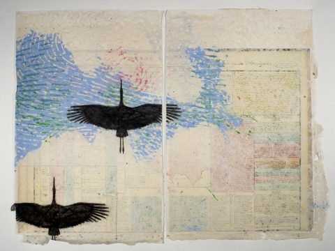 Timothy Frerichs, „Migration Lilienthal Stork“ 