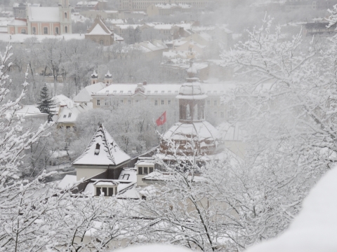 Valdovų rūmų muziejus, M. Kaminsko nuotr.