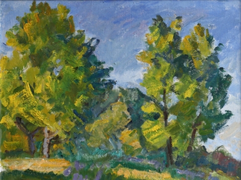 Vladas Karatajus, „Vasaros pradžia“. 2008 m.