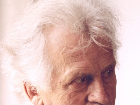 Vytautas Juozapaitis. D. Matvejevo nuotr.
