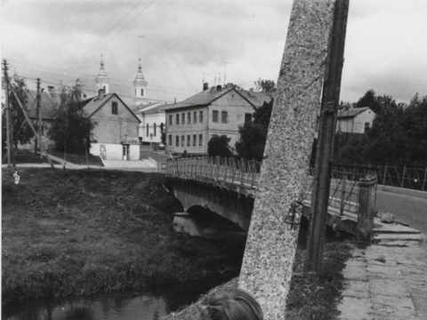 Vytautas V. Stanionis, iš serijos „Luko vaikystė“. 2001–2002 m.