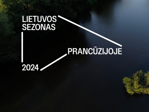 Patricija Gilytė, stopkadras iš videodarbo „Danube Woodland Raft“. 2019 m.