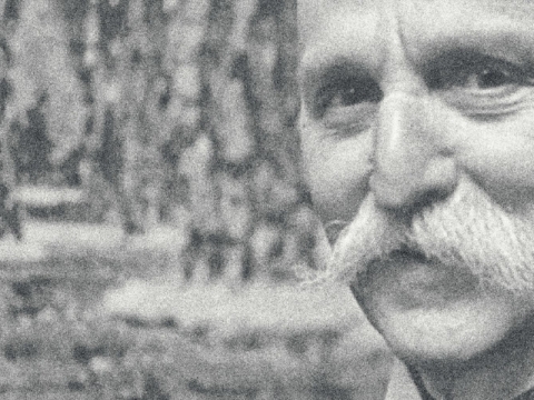Parodos „PURVYTIS“ vizualusis identitetas. 2022. Panaudotas kadro fragmentas iš kino žurnalo
„Ausland Woche“ (Nr. 552, 1942, studija „UFA“, Latvijos nacionalinio archyvo Latvijos valstybinio
kinofotofonodokumentų archyvas) siužeto apie Vilhelmo Purvyčio paskutinę personalinę parodą Rygos
miesto dailės muziejuje